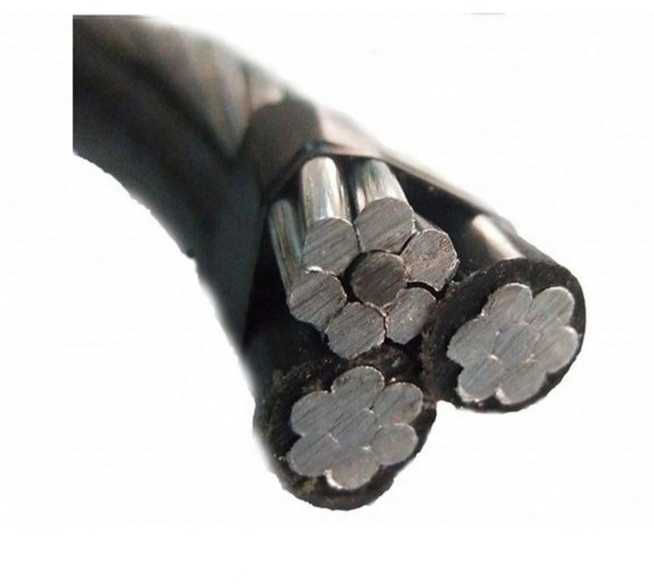 2x6AWG+1X6AWG