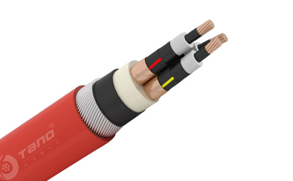 12.7/22(24kV)XLPE INSULATED POWER CABLE