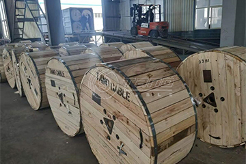 ACSR export to Zambia