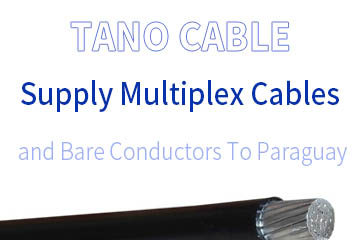 Supply Multiplex Cables and Bare Conductors To Paraguay