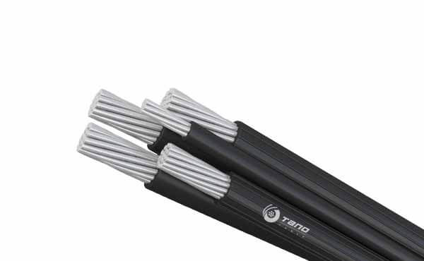 CAAI cable 01