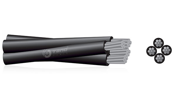 CAAI cable